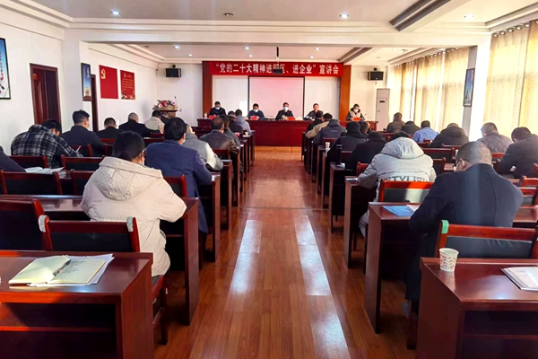 我县举办“党的二十大精神进园区、进企业”宣讲会
