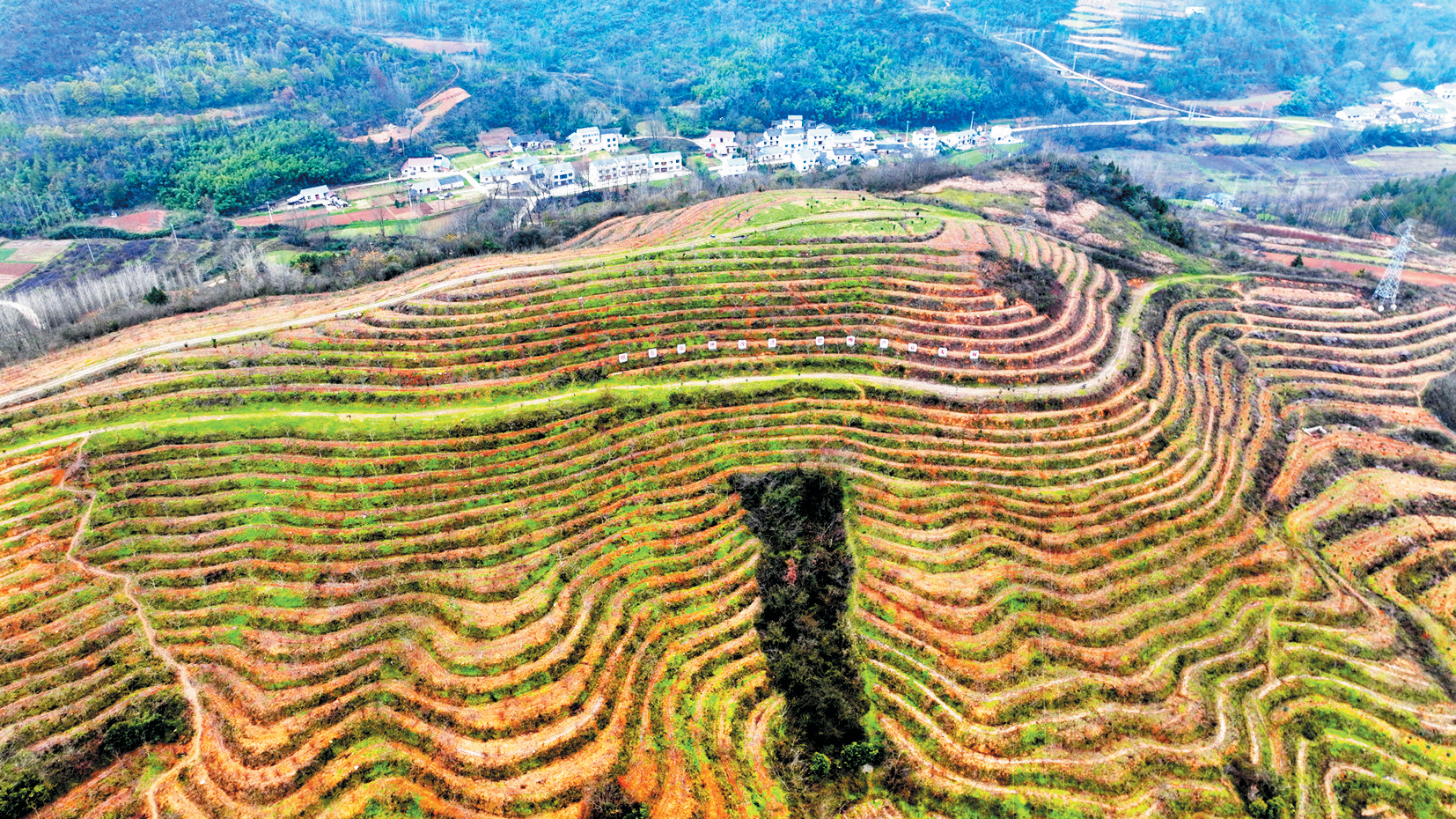 昔日荒山秃岭 今朝“绿色银行”