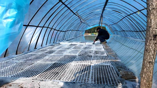 九道乡：人勤春来早  烟叶育苗忙