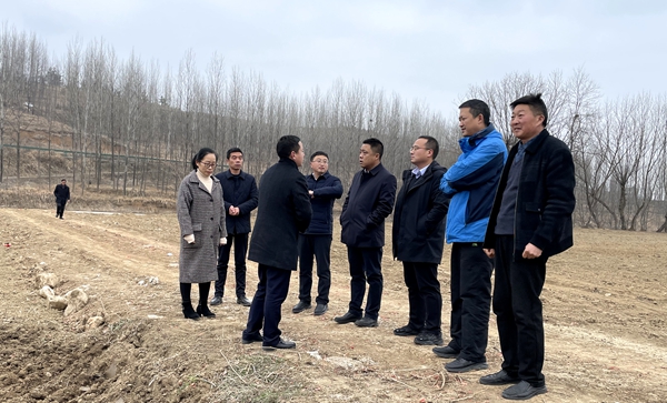 化龙堰镇：做大蔬菜产业 促进乡村振兴