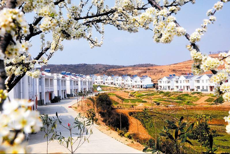 化龙堰镇用“四个抓手”推进人居环境整治