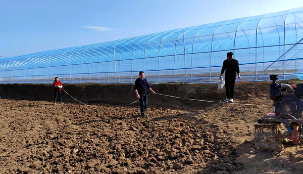 房州味道：精心打造“共享菜园”