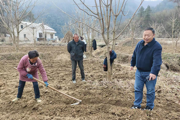 五台乡“四轮驱动”兴产业