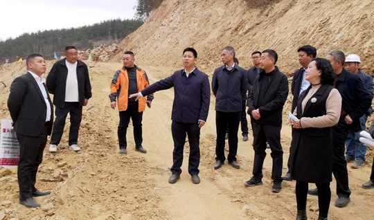 纪道清调研龙凤岭公墓和沥青混凝土搅拌站项目建设