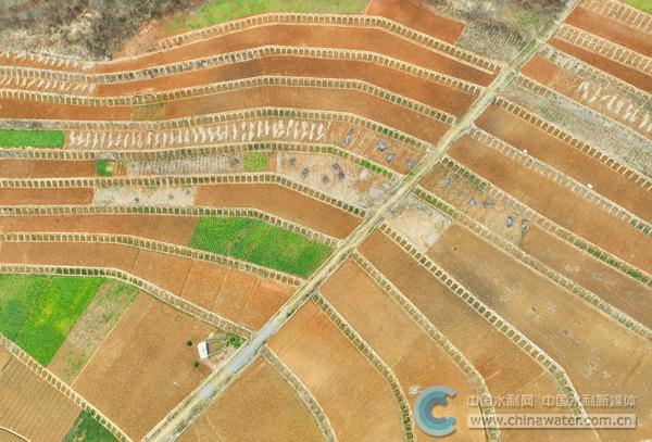 房县：治理水土流失助力粮食丰收