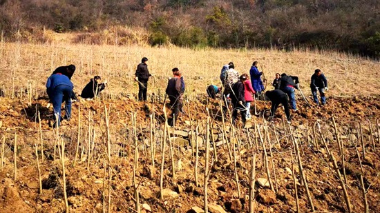 大木厂镇：抓好春季生产 助力乡村振兴