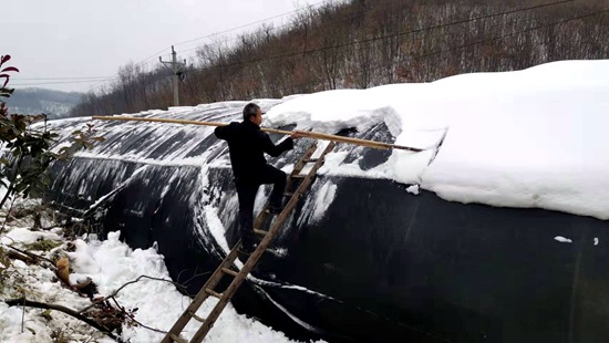 沙河乡: 大棚除雪保安全