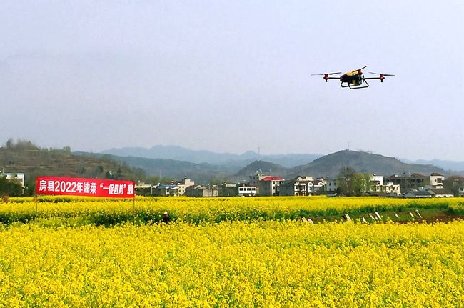 房县：“一促四防”促夏油丰收