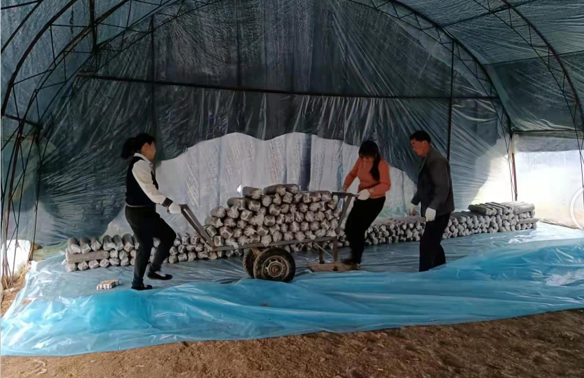 万峪河乡纪委：精准监督 推动春耕有序开展