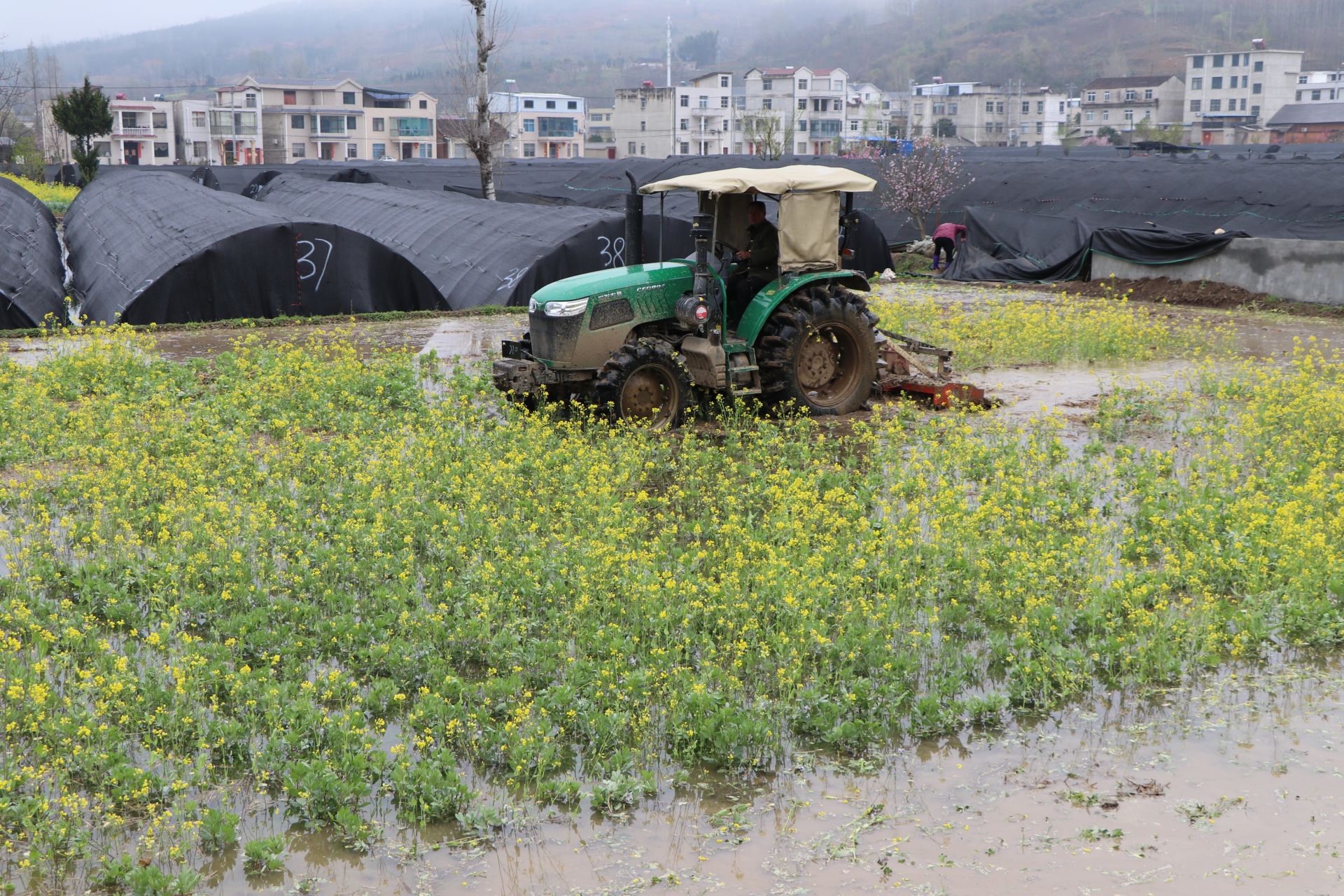耙田播种“闹春耕”