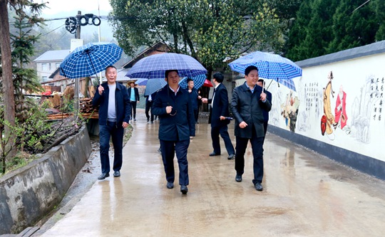 纪道清到中坝门古调研时强调：加快产业链提档升级  “项目化”推进示范村建设