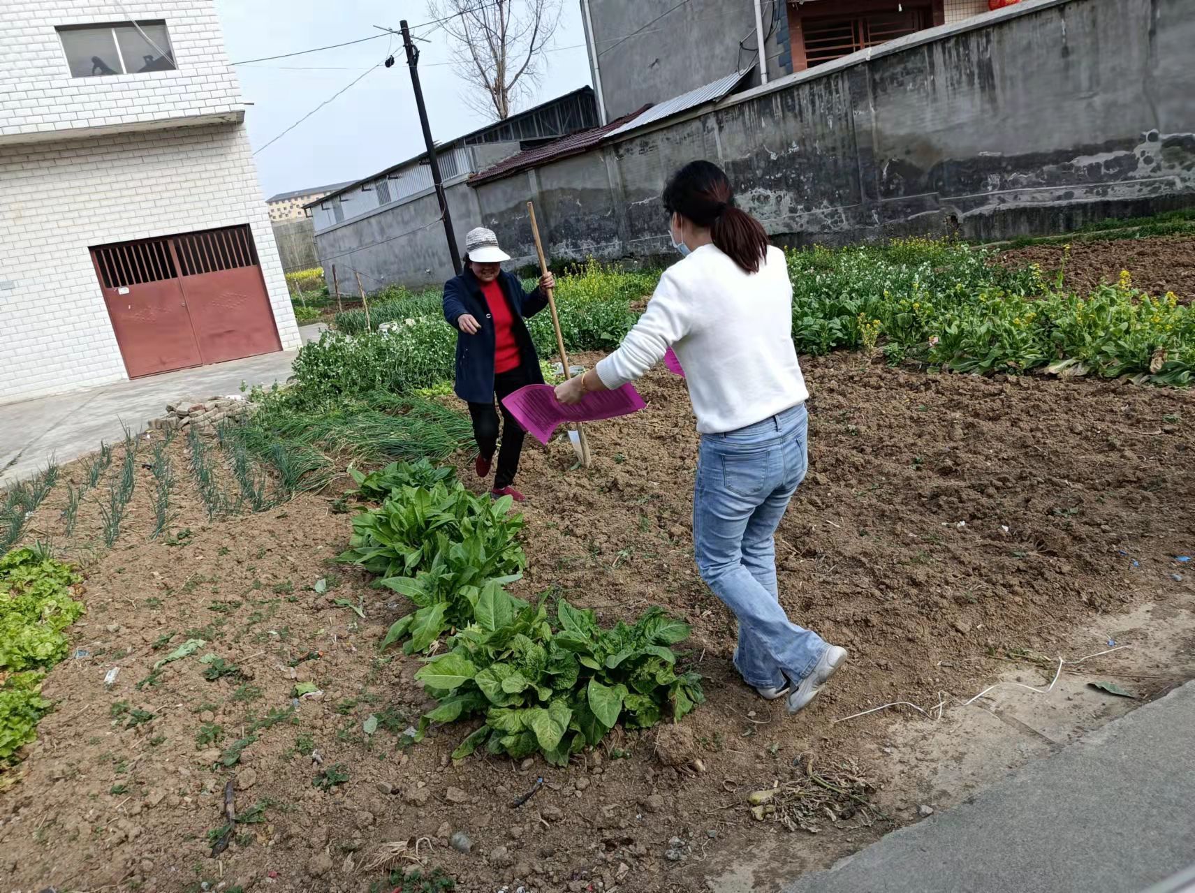 城关镇宣传惠农政策 助力乡村振兴