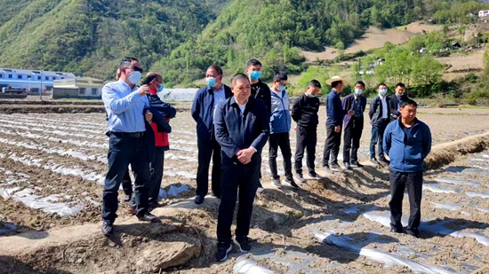 九道乡：开展农村基层党建观摩评比活动