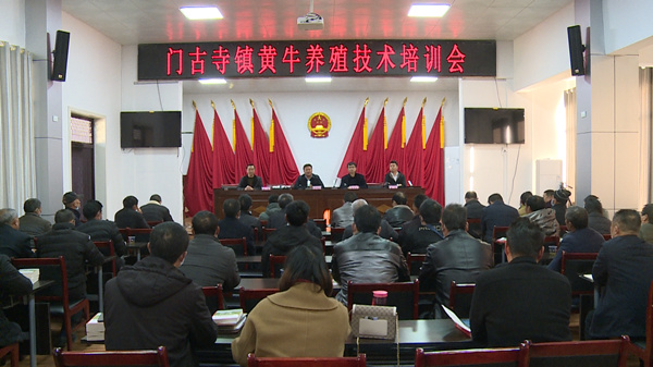 【喜迎党的二十大专栏】 房县门古寺镇：做大做强畜牧产业 带领群众“犇”上致富路