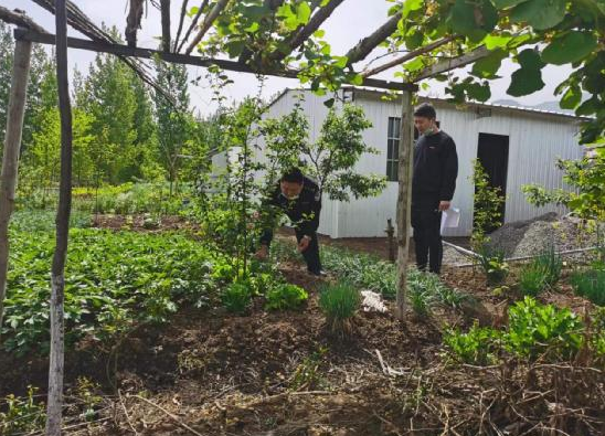 房县城关镇：全力铲除罂粟　大力宣传禁毒知识