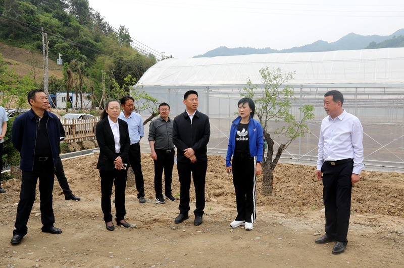 纪道清到窑淮镇调研时强调：坚持党建引领 放大产业优势 推进全面振兴