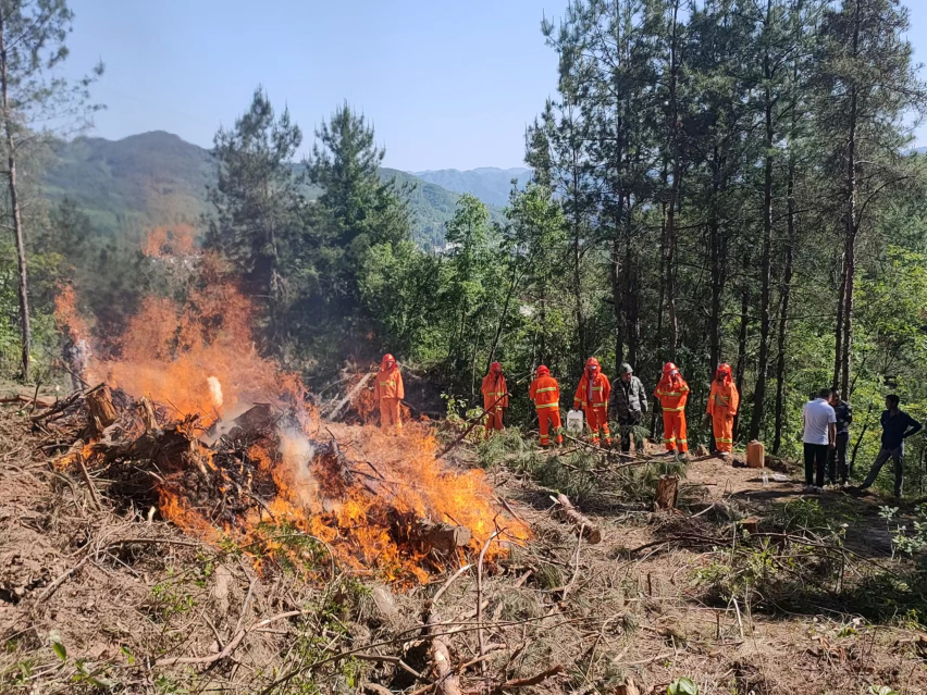 林业局岗位大练兵：以练为基础 全面提升业务技能