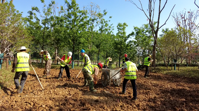 【节日我在岗】房县165名园林绿化工人坚守岗位植树护绿