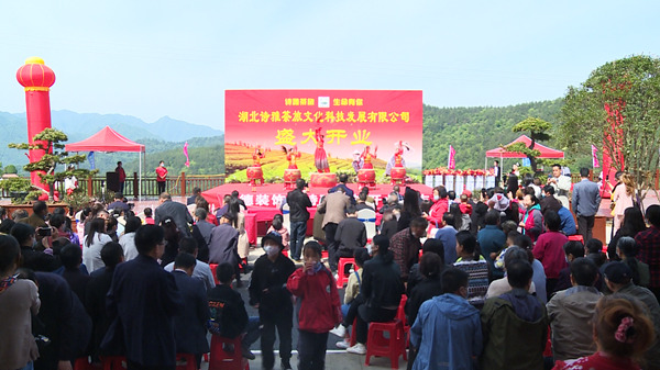 房县诗雅茶旅项目正式投入运营