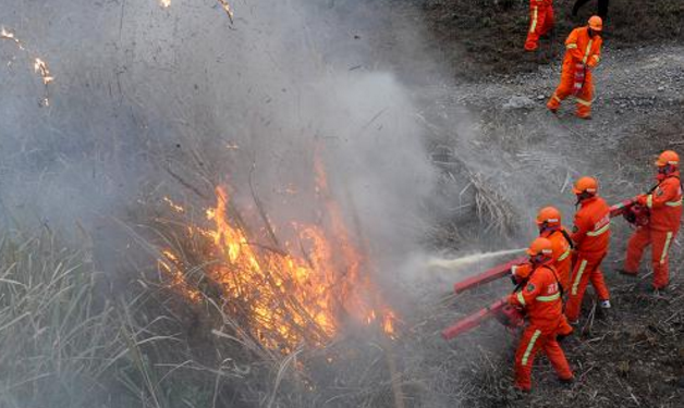 白鹤镇组织召开森林防火应急演练