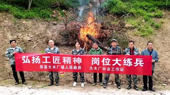 大木厂镇： 开展松材线虫病防治 推动岗位大练兵