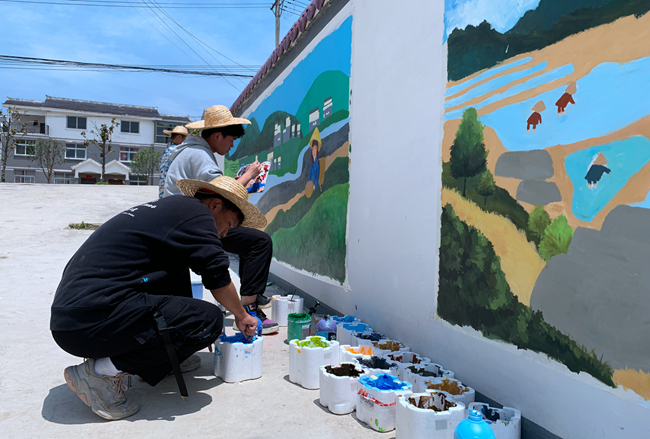 白鹤镇 : 文化墙为“党建+”注入新活力