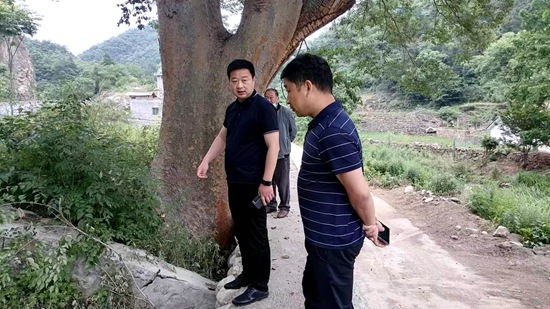 大木厂镇：开展“保护古树群，当好守井人”岗位大练兵活动