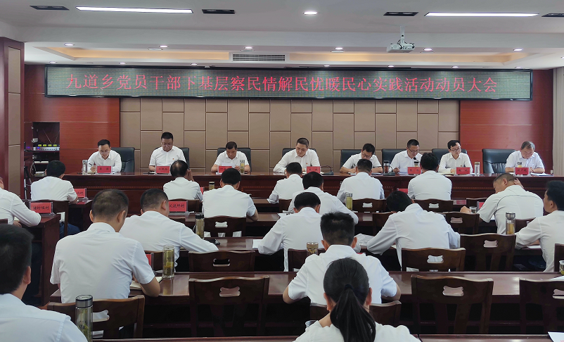 九道乡召开党员干部下基层察民情解民忧暖民心实践活动动员部署会
