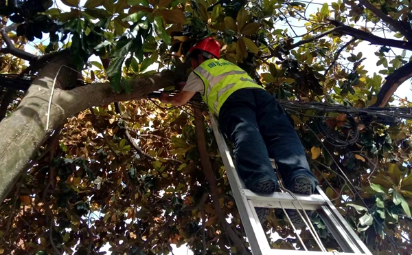 房县通信企业快速反应 推进 “飞线清理”整治工作