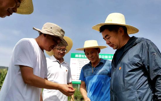 县农业局：积极防治夏季水稻病虫害