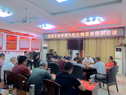 房县启动农业外来入侵物种普查工作