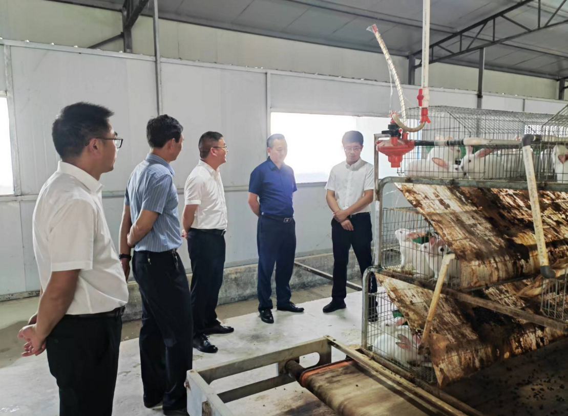 白鹤镇持续优化营商环境助力企业发展