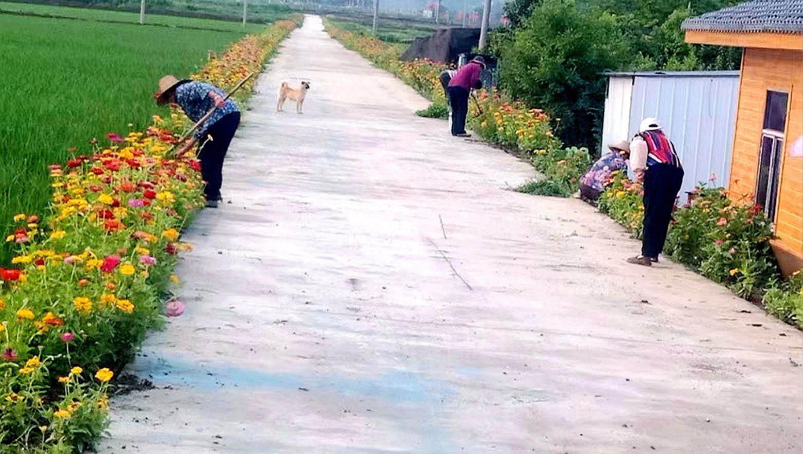 军店镇：“四好公路”绘就乡村振兴新画卷