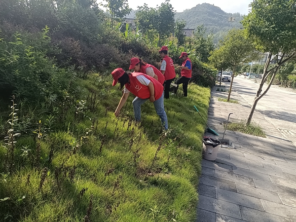 回龙全乡上下齐发力 助力创建全国文明城