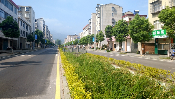 王玲要求：合力创建“示范路”“严管街” 让群众出行更安全