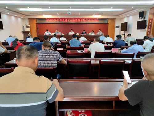 青峰镇召开2022年党建工作拉练暨半年工作总结会