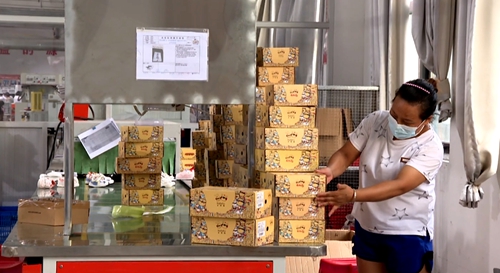 筑牢企业防疫屏障 防控生产两不误