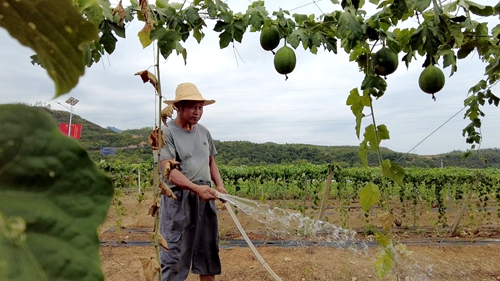 省发改委向军店镇捐赠“及时雨”为农“解渴”