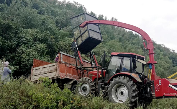 土城镇小亭村:秸秆禁烧有妙招 变废为宝民叫好