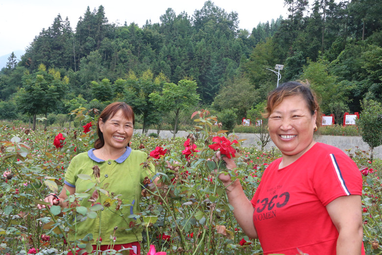 湖北房县：产业兴起来  幸福唱出来