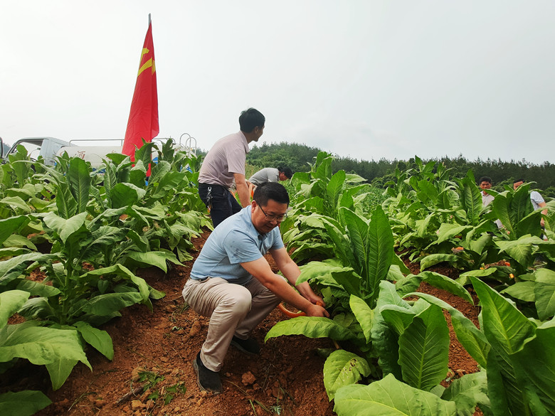 湖北房县：创文建新功  美好永传递