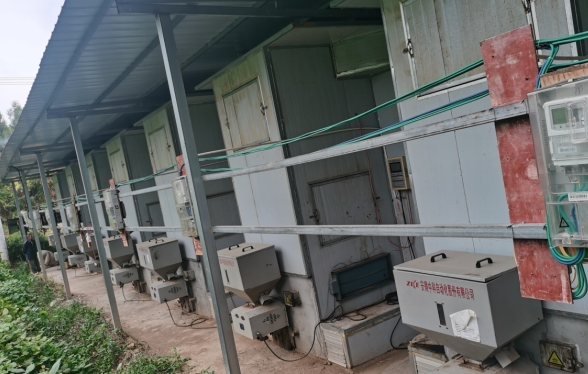 湖北房县：幸福生活经得起“烤”验