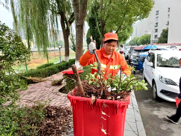 房县环卫：为绿化带“减负”