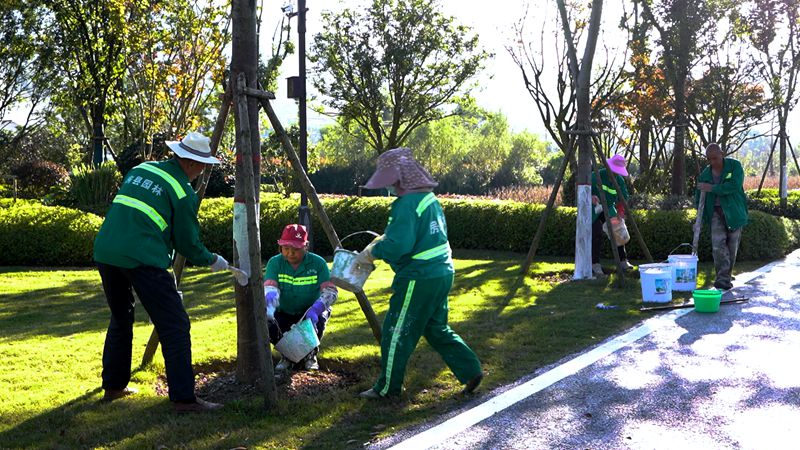 县住建局:城区树木穿“新衣” 保障苗木稳过冬