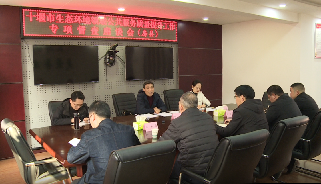 市生态环境领域公共服务质量提升专项督察座谈会在我县召开