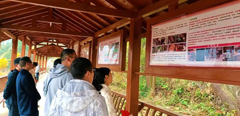 县委党校组织党外干部开展 “追寻红色足迹 传承革命精神”研学活动