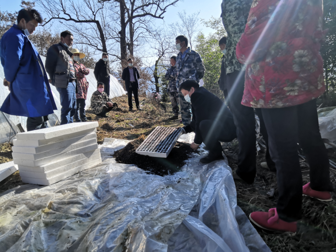 九道乡：送技进村，提升技能促振兴