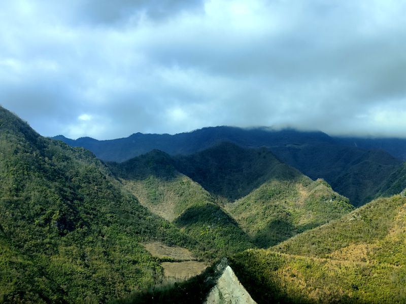 九道乡塘坊垭村：羊肚菌撑起乡村振兴“致富伞”