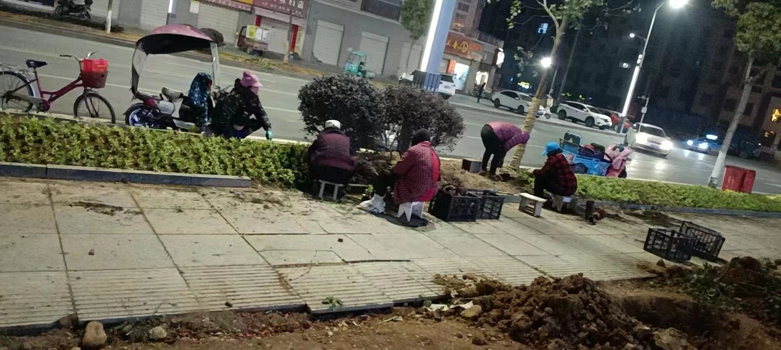 【能力作风建设在行动】能力作风建设在行动：县住建局星夜鏖战拉满绿化建设“进度条”