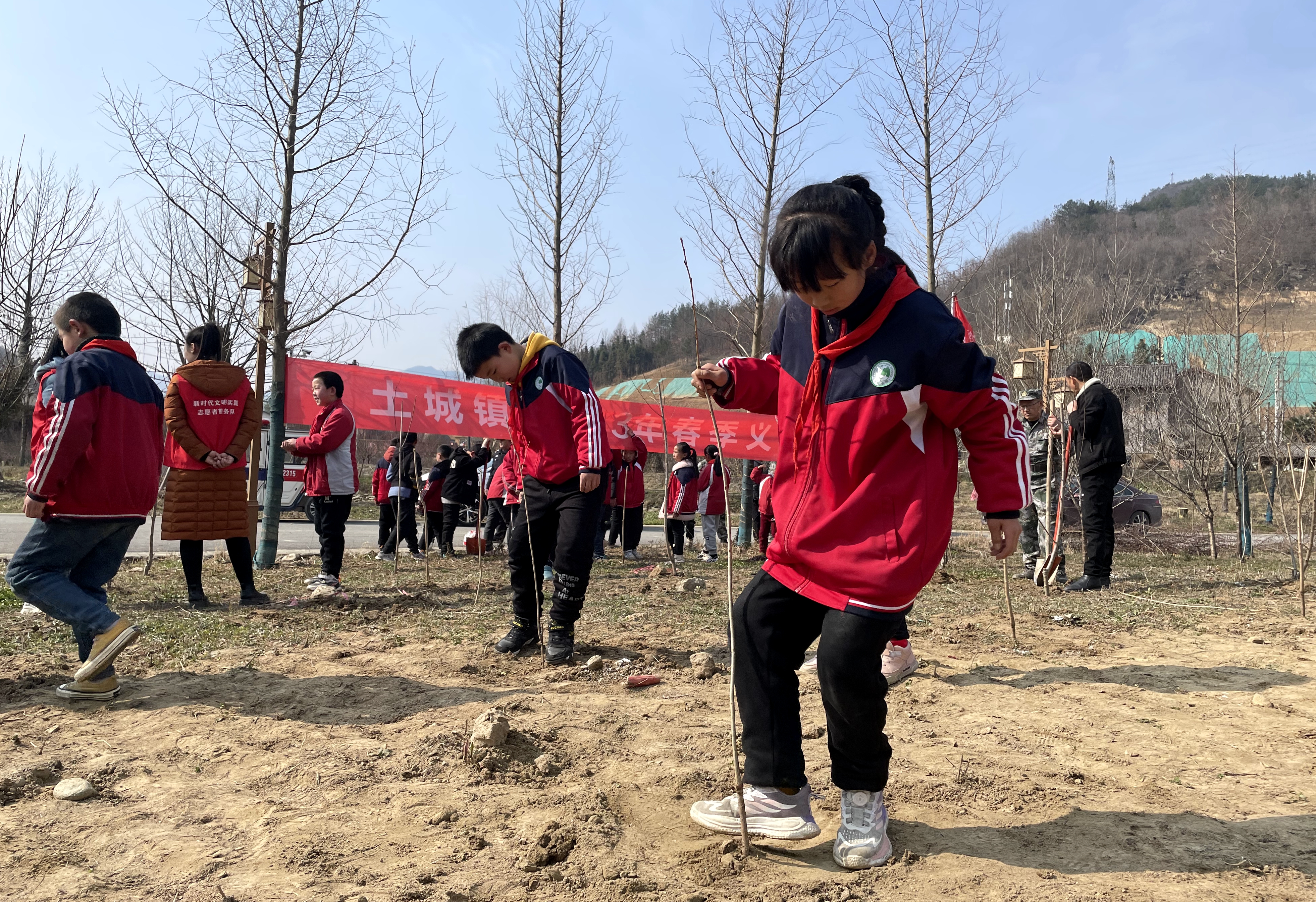 土城镇：春意渐浓添新绿 植树造林正当时